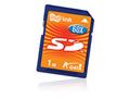 A-DATA SD (1GB)