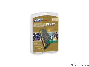 PNY 1GBPC2-4300/DDR2 533/200Pin
