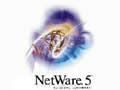 NOVELL Net Ware5.0(׼İ)