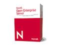 NOVELL Open Enterprise Server 2(1 User License)