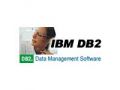 IBM DB2 Universal Database 8.1(ҵ 1CPU)