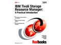 IBM Tivoli Storage Manager for Storage Area NetworksͼƬ
