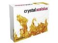 BusinessObject Crystal Xcelsius 4.5 