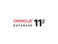 ORACLE Oracle 11g 企业版