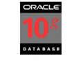 ORACLE Oracle 10g ׼ for Windows(5û)