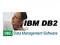 IBM Informix Dynamic Server ҵV9.4(û)ͼƬ