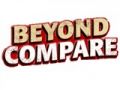 Scooter software Beyond Compare(5-9û)