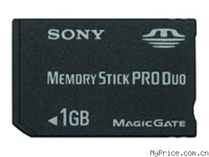   PRO Duo MSX-M1GST1GB
