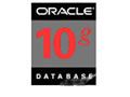 ORACLE Oracle 10g(׼ 1CPU)