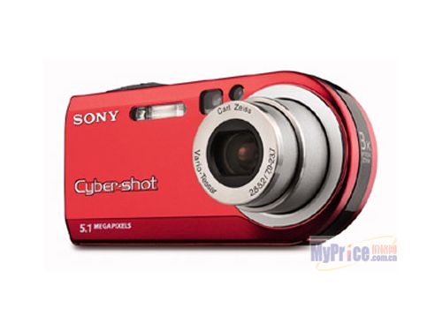 SONY DSC-P100