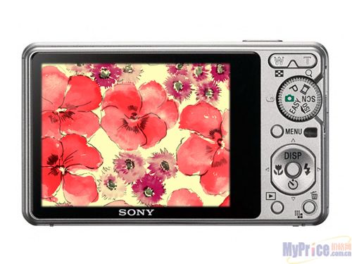 SONY S950