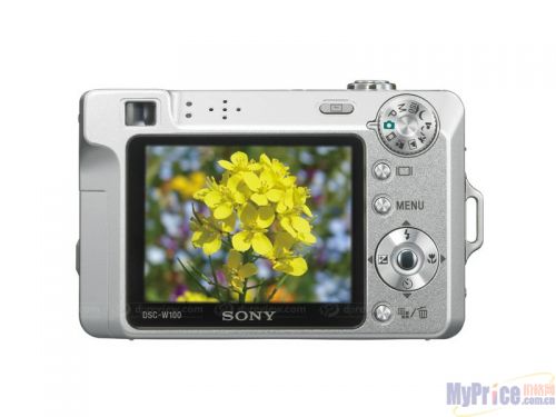 SONY DSC-W100