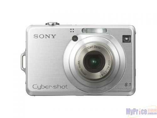 SONY DSC-W100