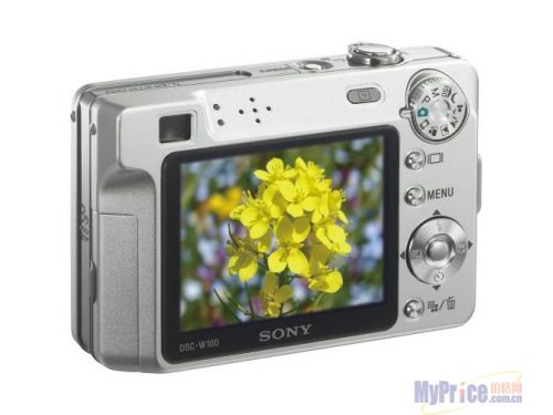 SONY DSC-W100