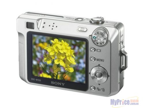 SONY DSC-W100