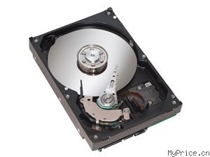 ϣ 80G/7200.7/SATA/8M (NCQ-ST380817AS)