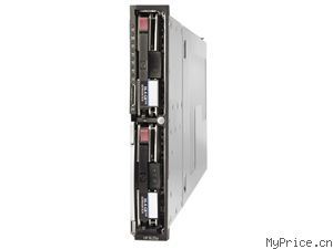 HP ProLiant BL25p (374799-B21)