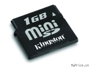 Kingston Mini SD (2GB)