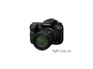 SONY a700(ͷ׻16-105)