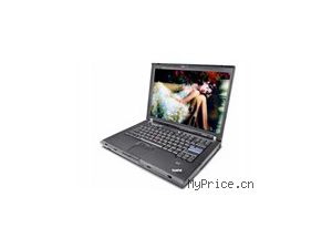 ThinkPad T61 7661D43