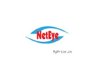  NetEye IDS2400-FE1-GE2