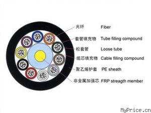 WINFIBER 16оǽģ(ʽ)WF-GYFTY-16A1b