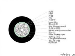 WINFIBER 24оװģ/WF-GYTS-24B1