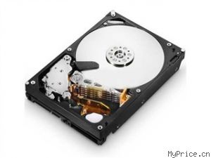  1TB/7200ת/SATA(T7K1000)