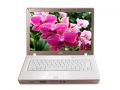 ʿͨ LifeBook L1010-ACS0D10011()ͼƬ