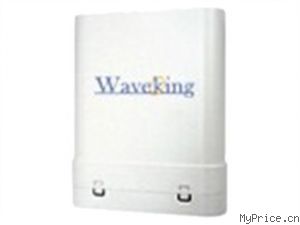 Waveking WK-8021CPE