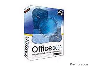 Microsoft Office 2003(רҵ)