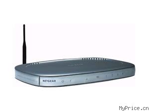 NETGEAR DG834G